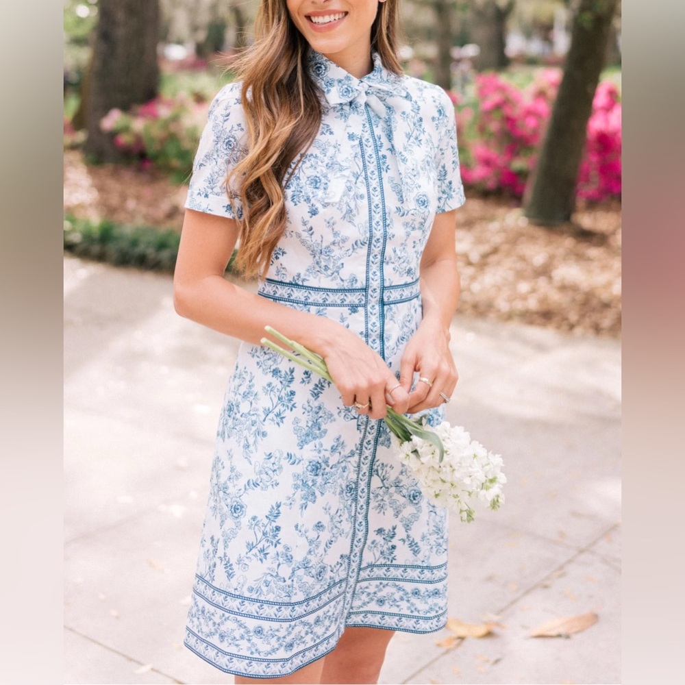 RARE Designer: Gal Meets Glam Dress, Darla